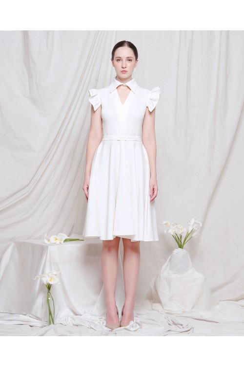 Hazel Collar Dress